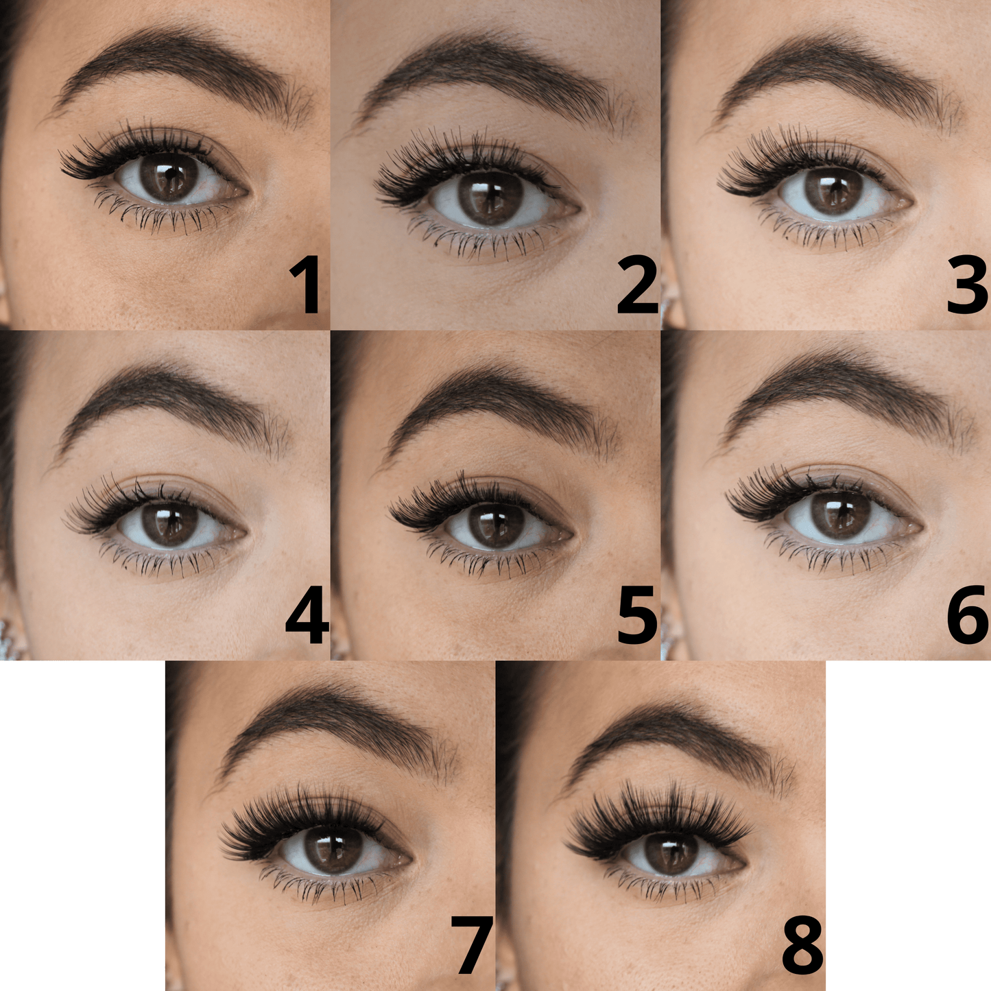 Professional lashes